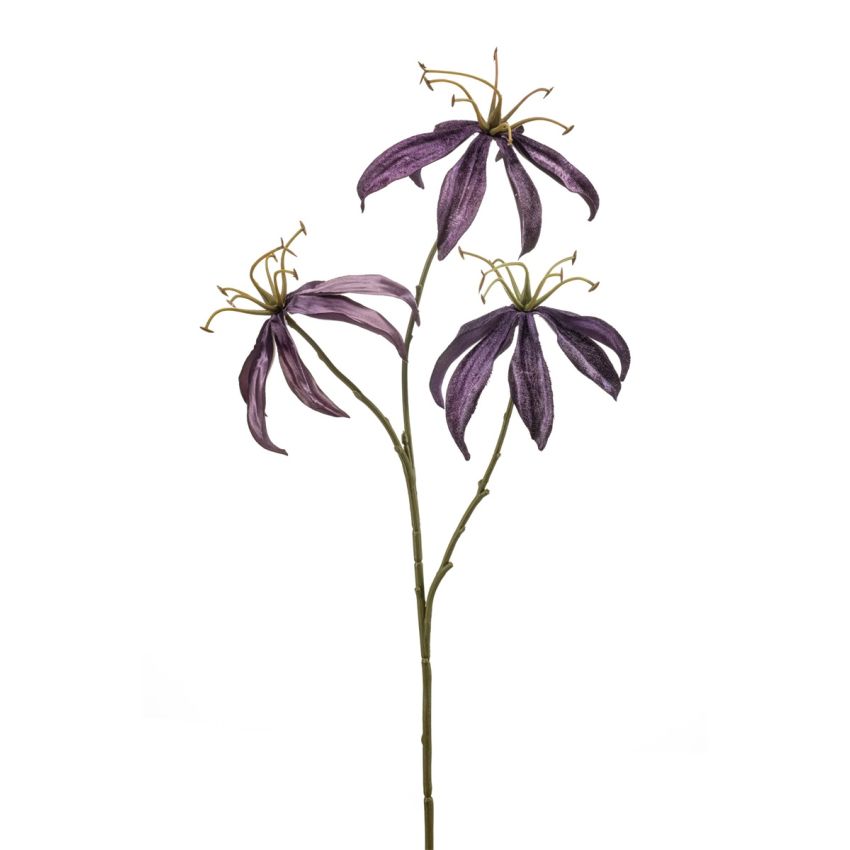 Gloriosa spray purple 67cm