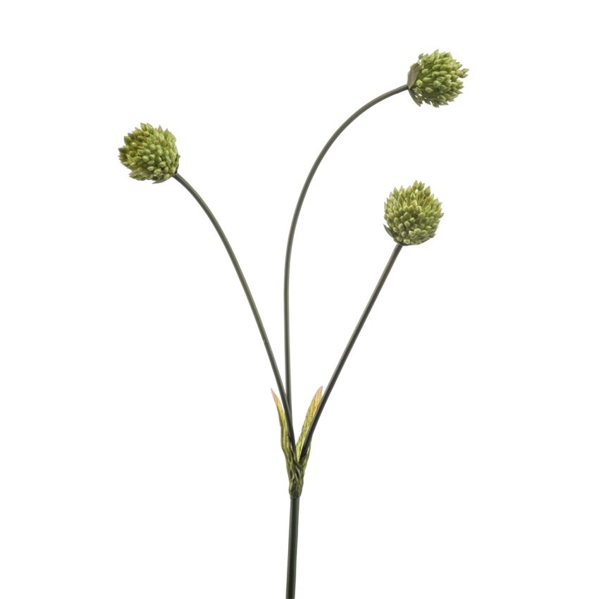 Onion spray green 69cm