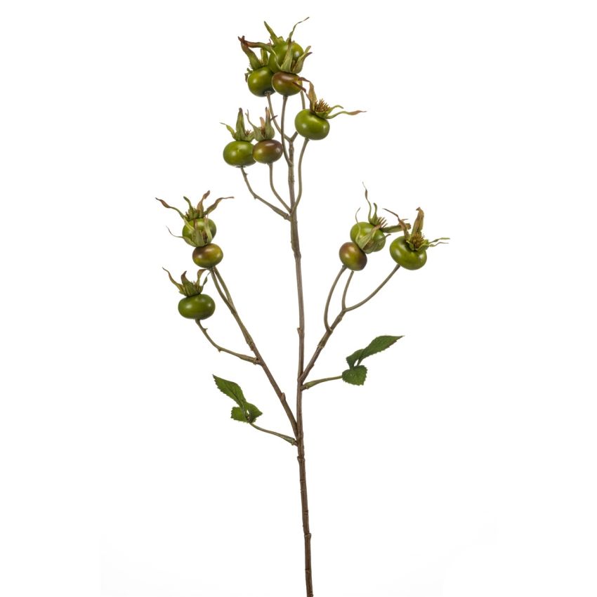 Rosehip spray green 65cm