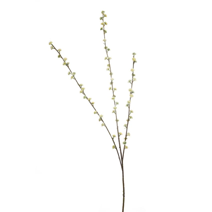 Salix spray cream 105cm