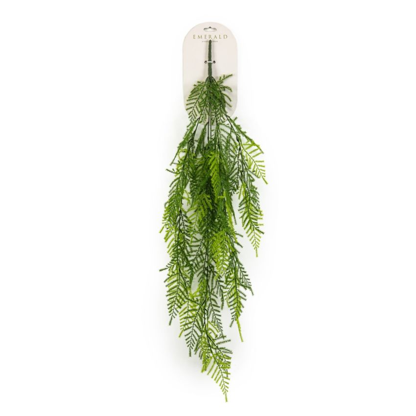 Asparagus hanging bush tt green 95cm