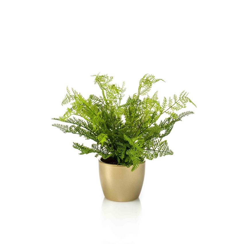 Fern forest bush green 30cm in pearlgold pot
