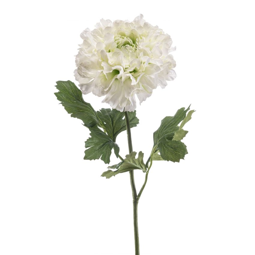 Ranunculus spray XL cream/green 60cm