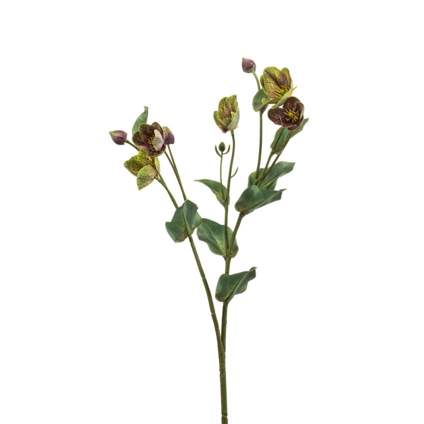Helleborus spray green/purple 52cm