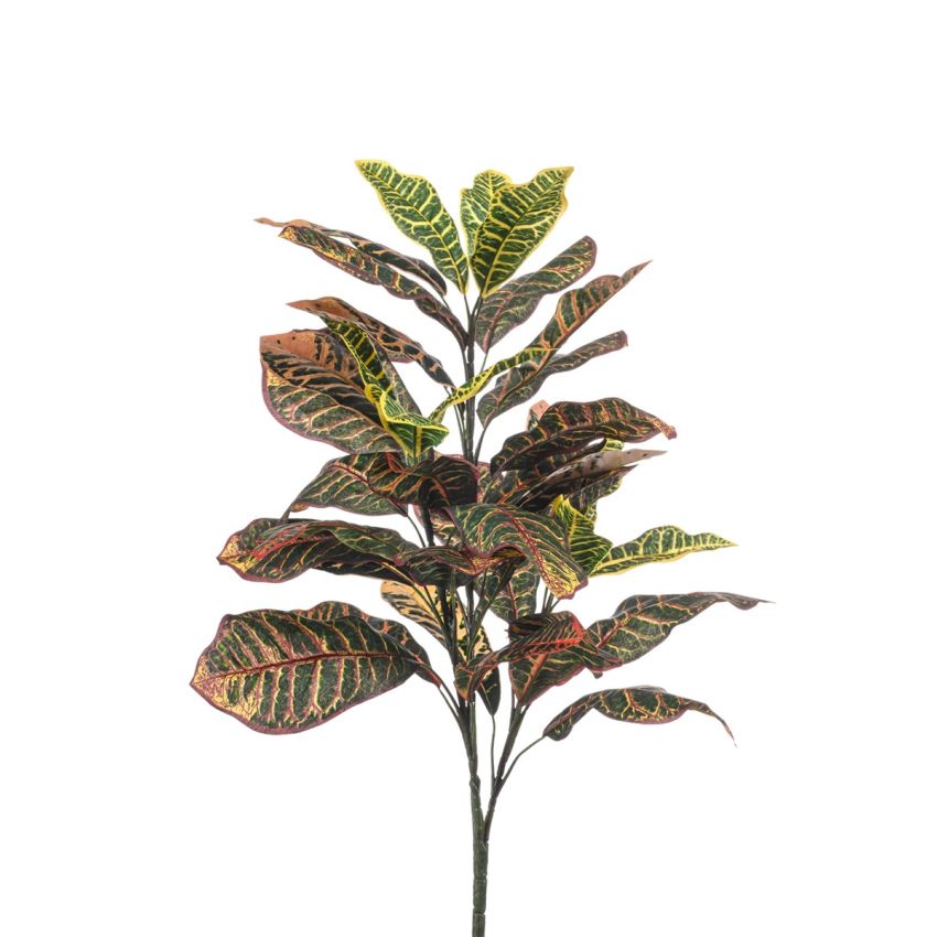 Croton bush 70cm