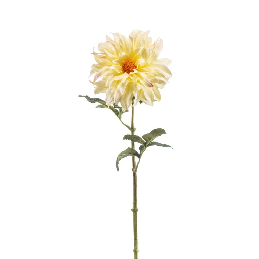 Dahlia spider spray lt yellow 56cm