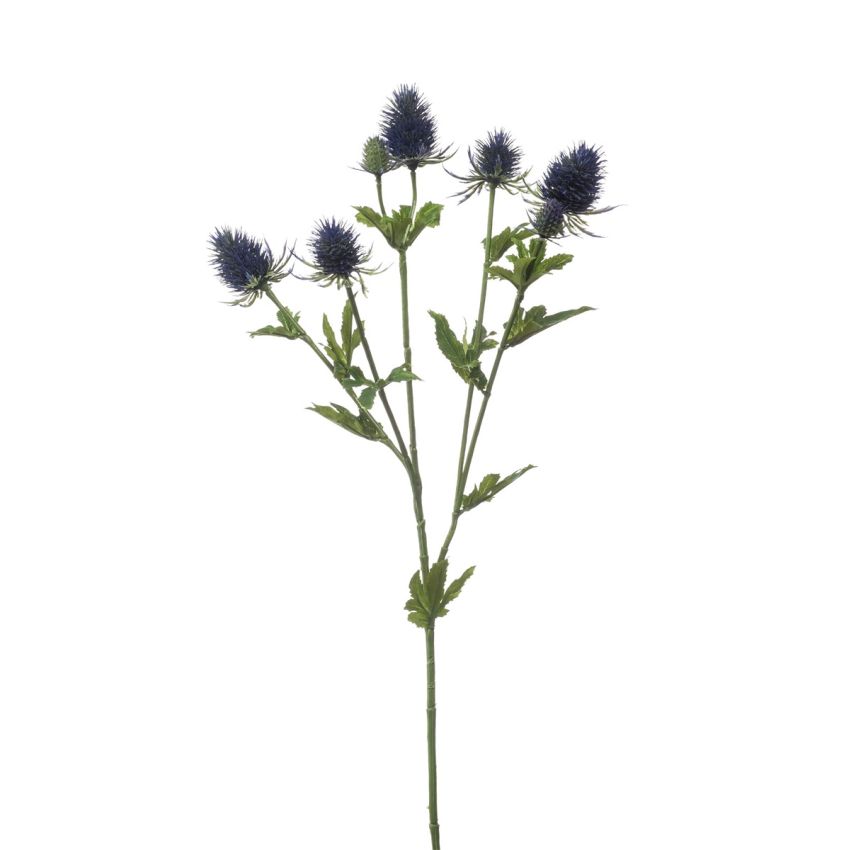 Eryngium spray blue 70cm