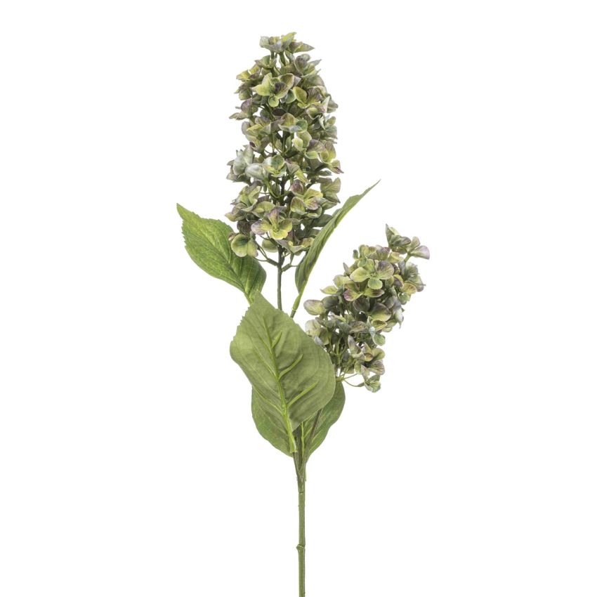 Hydrangea paniculata spray green 76cm