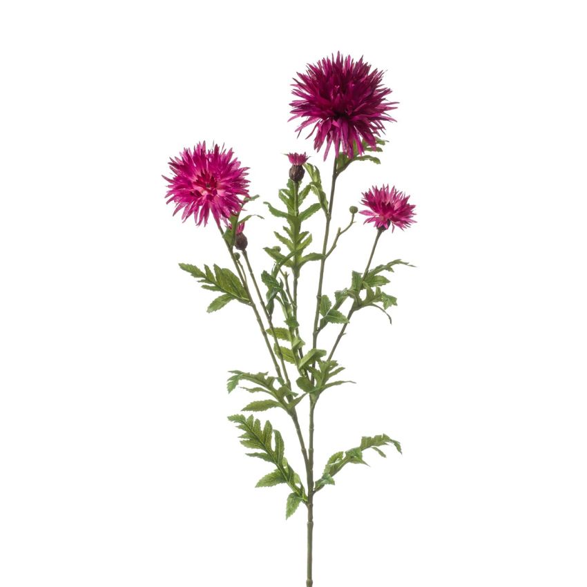 Centaurea spray fuchsia 100cm