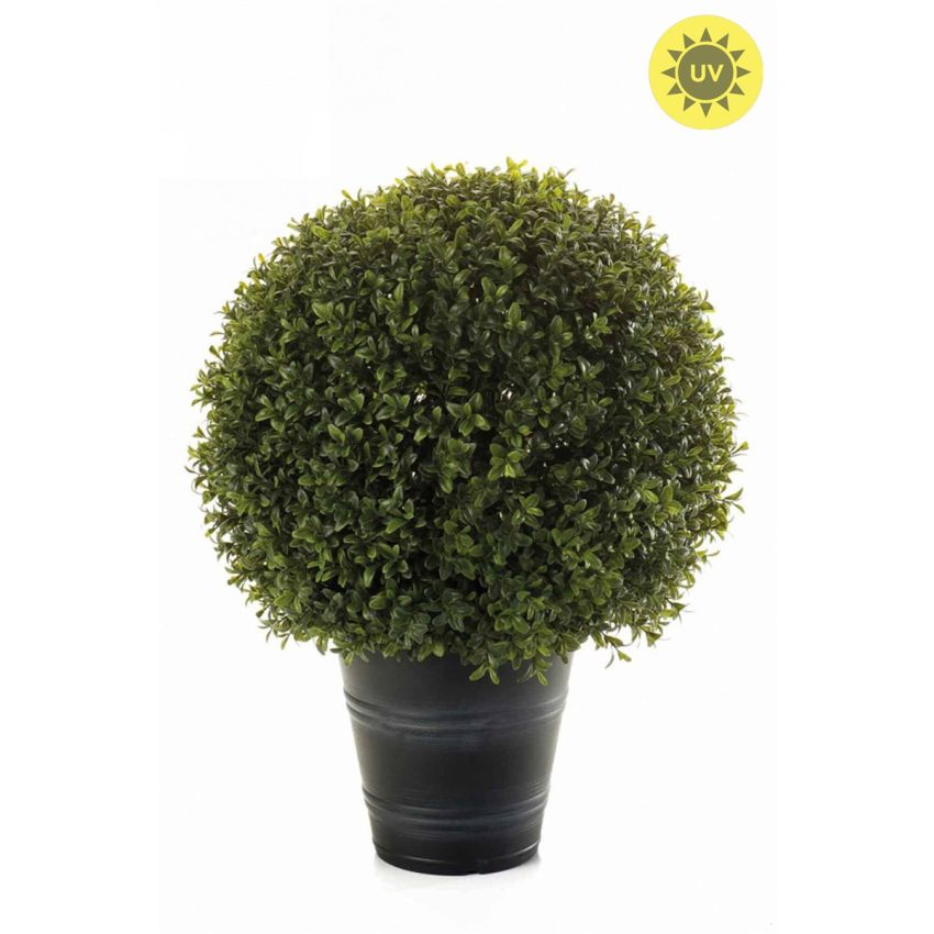 Boxwood ball UV in pot 53cm