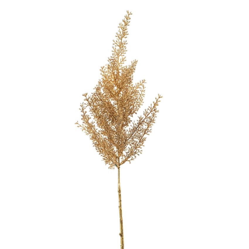 Astilbe spray gold 70cm