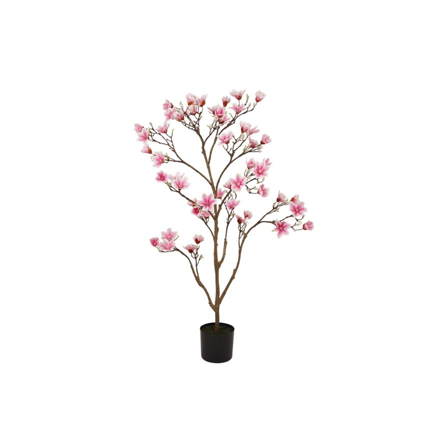 Magnolia tree pink 120cm (knock down packing)