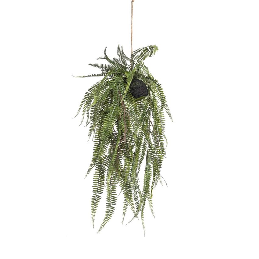 Fern bush hanging on ball 70cm