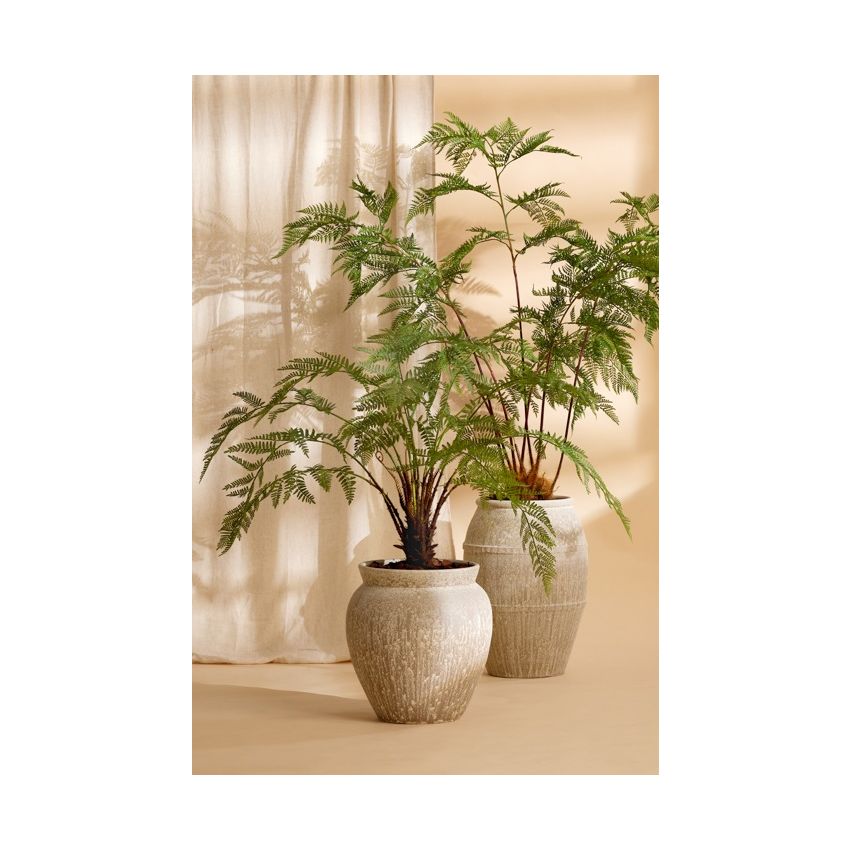 Fern plant 100cm