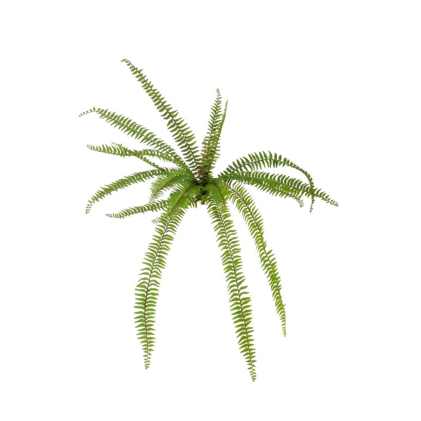 Fern bush green 105cm