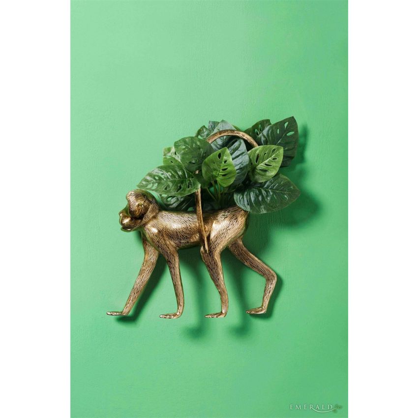 Monstera monkey bush green 30cm