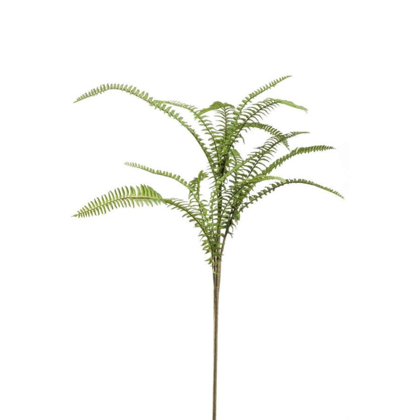 Fern boston mix spray 60cm