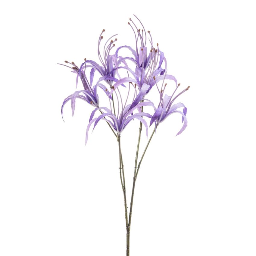 Nerine spray purple 55cm