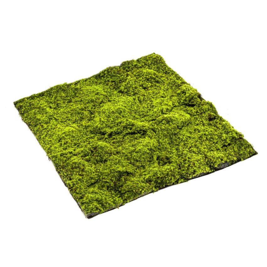 Sphagnum moss mat 100x100cm