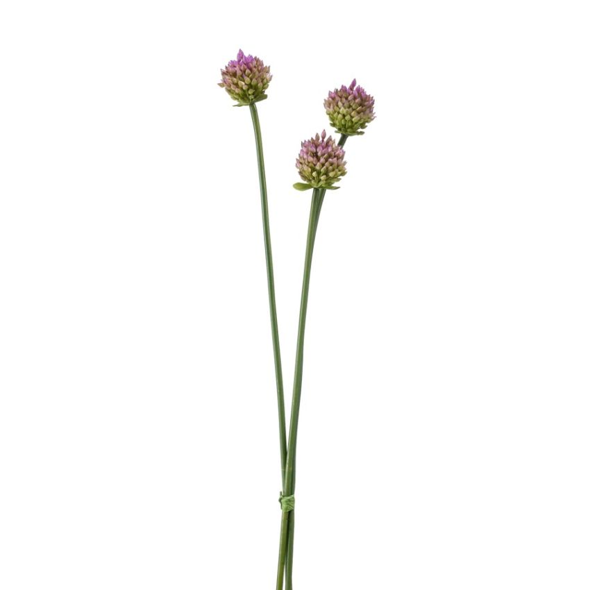 Allium bundle purple 66cm