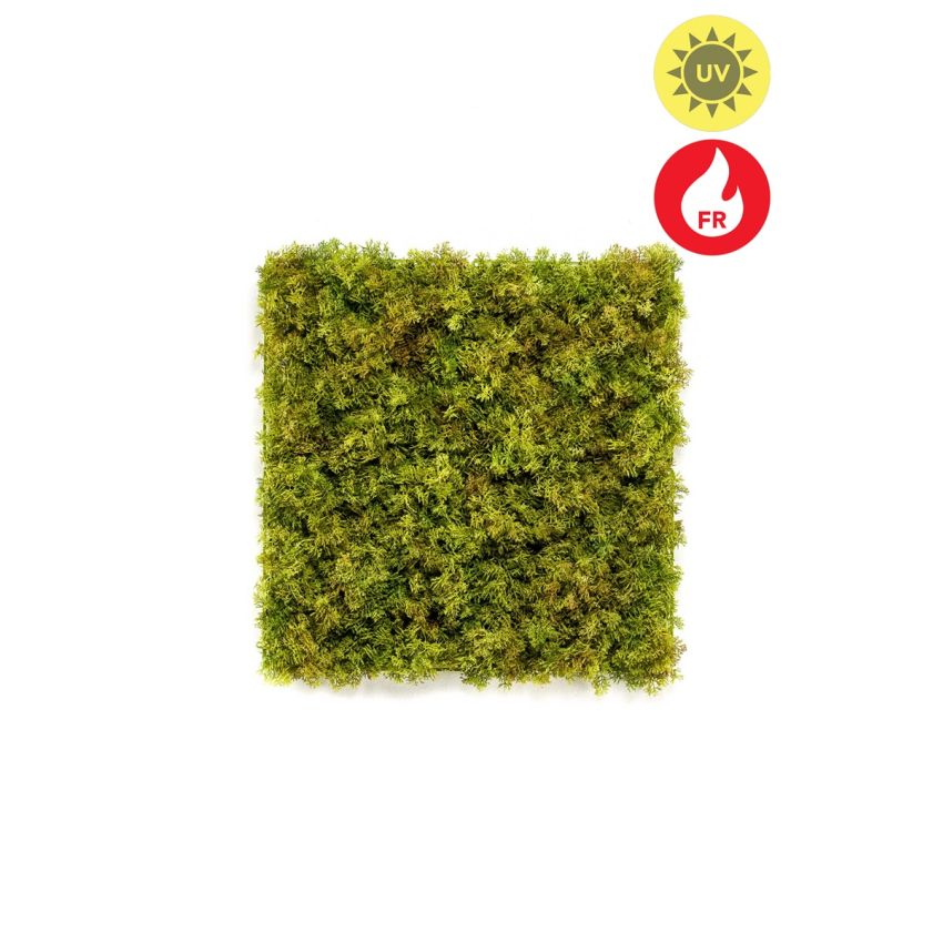 Iceland moss mat UV/FR 50x50cm