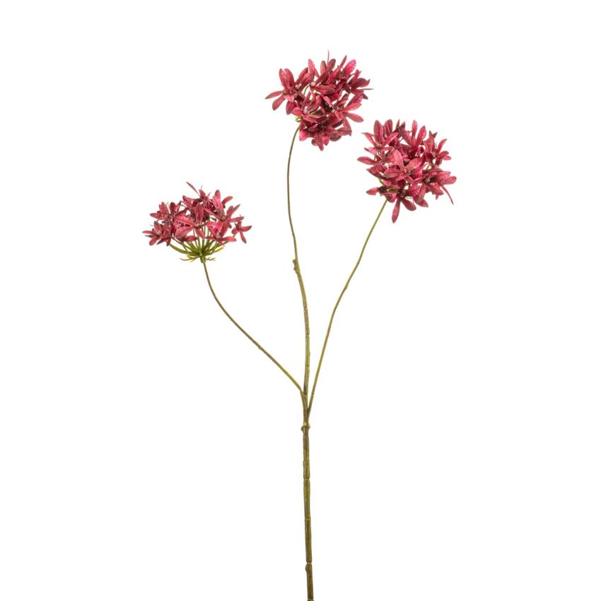 Agapanthus spray beauty 72cm