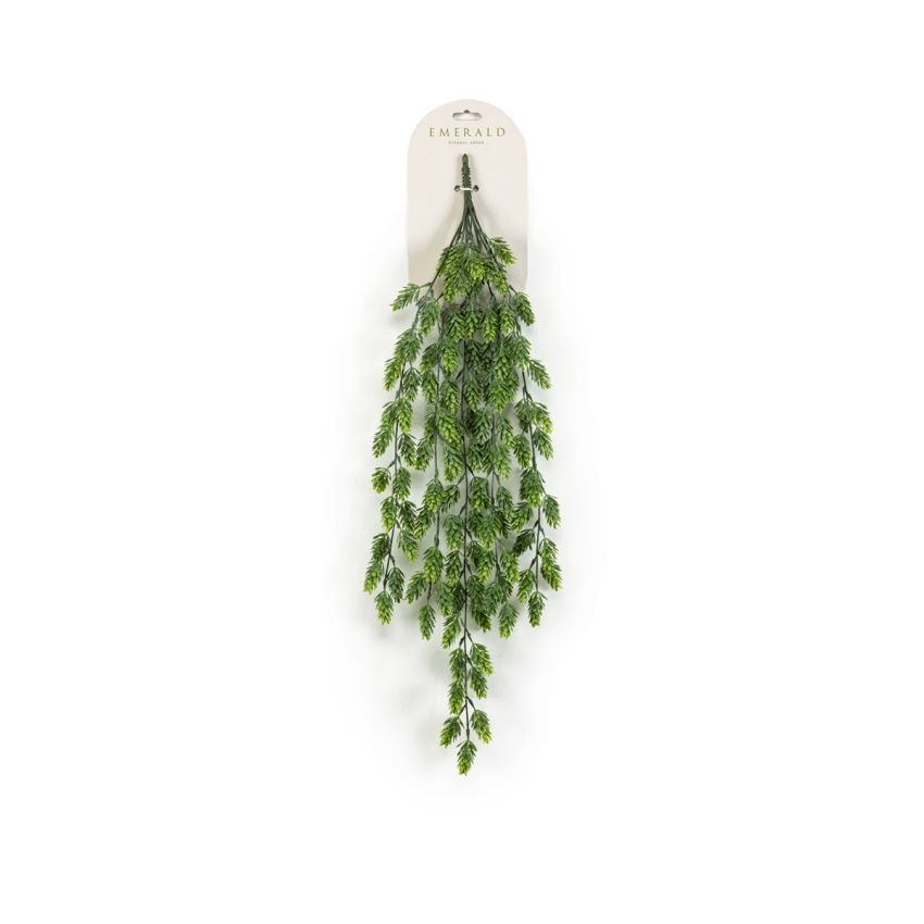 Hop hanging bush green 75cm