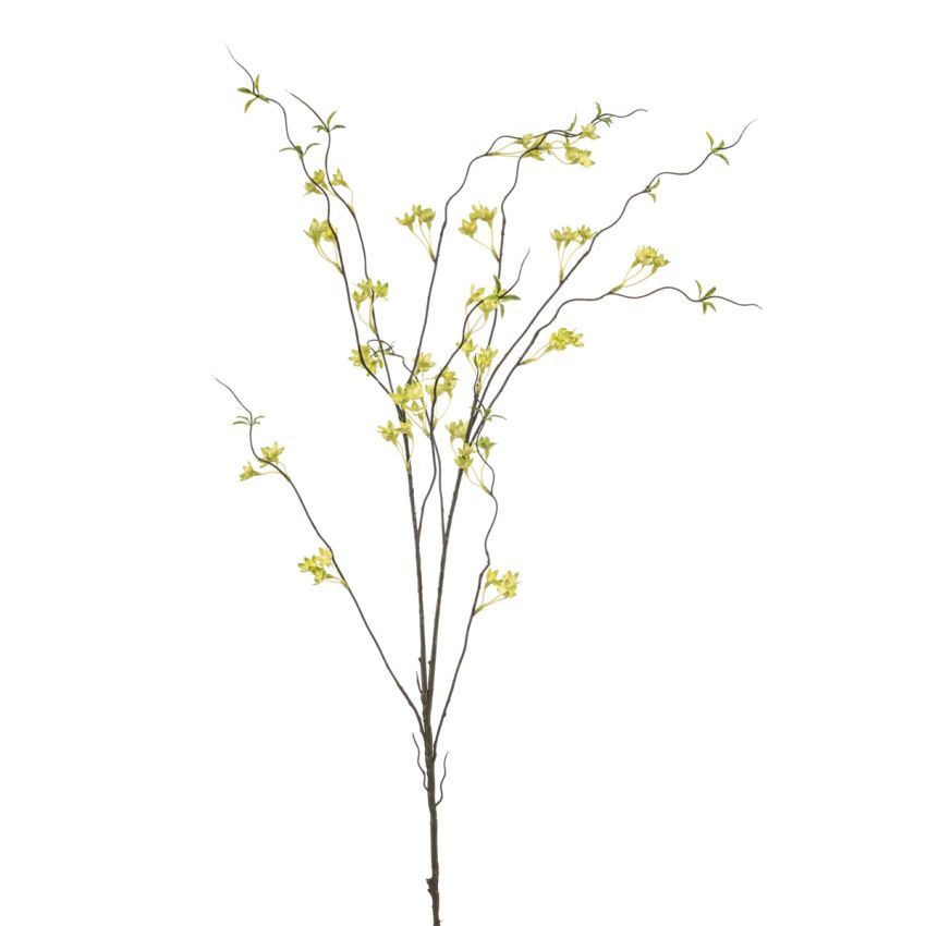 Ptelea spray green 110cm