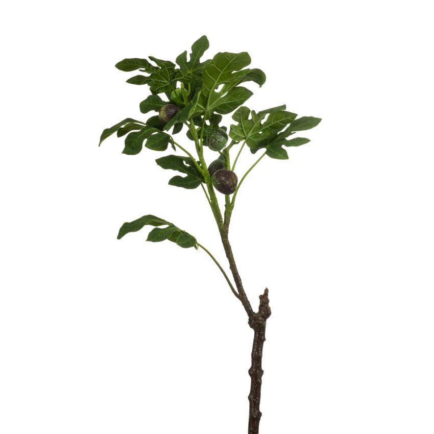 Fig spray green 105cm