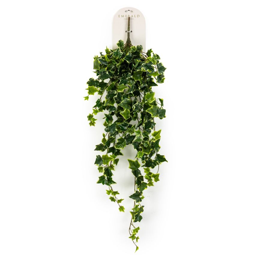 Ivy hanging bush green/white 100cm