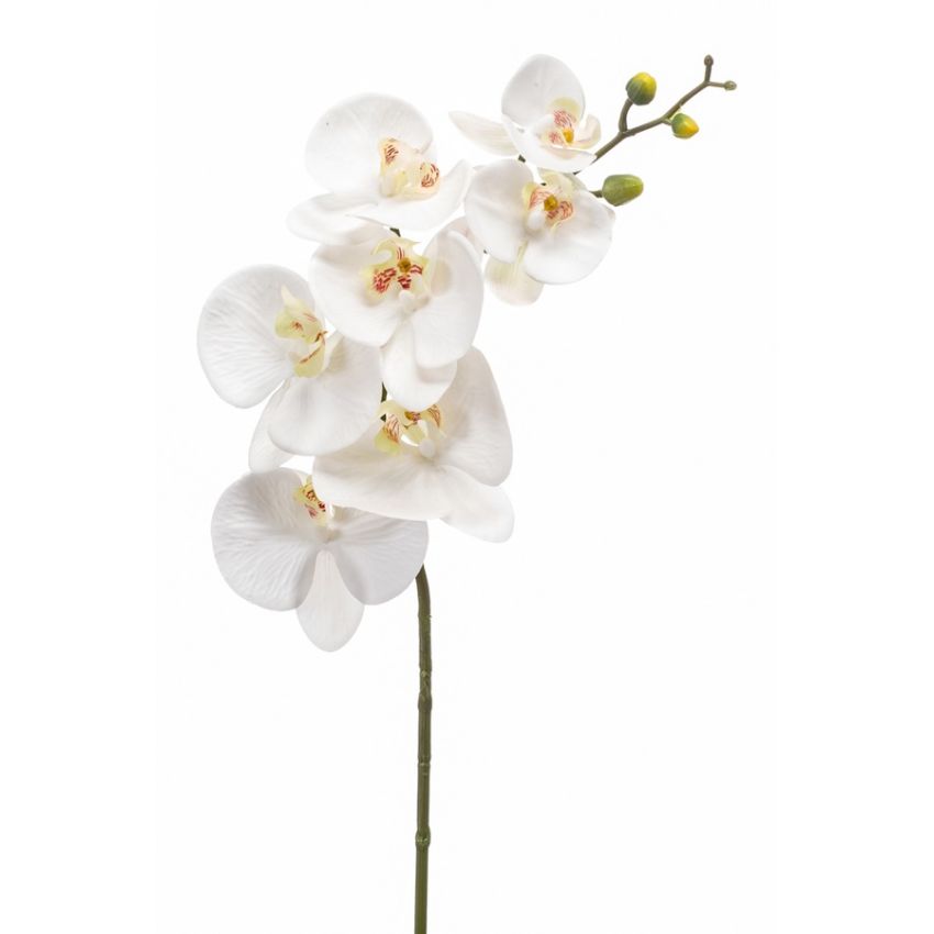 Phalaenopsis spray RT white 83cm