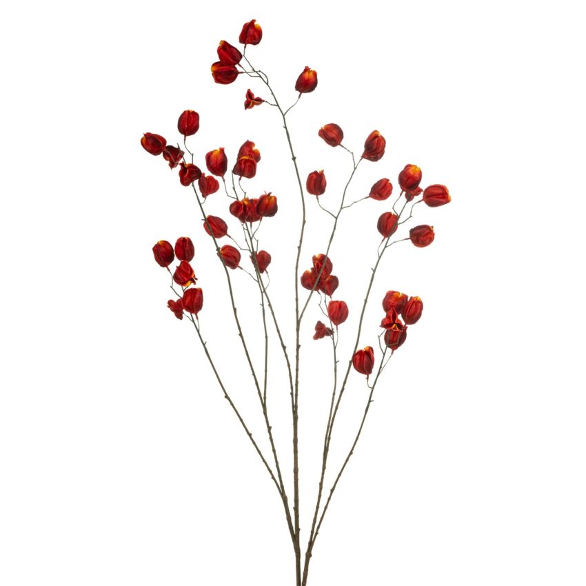 Physalis spray red 135cm
