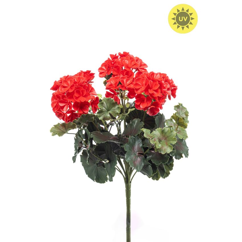 Geranium bush UV red 41cm
