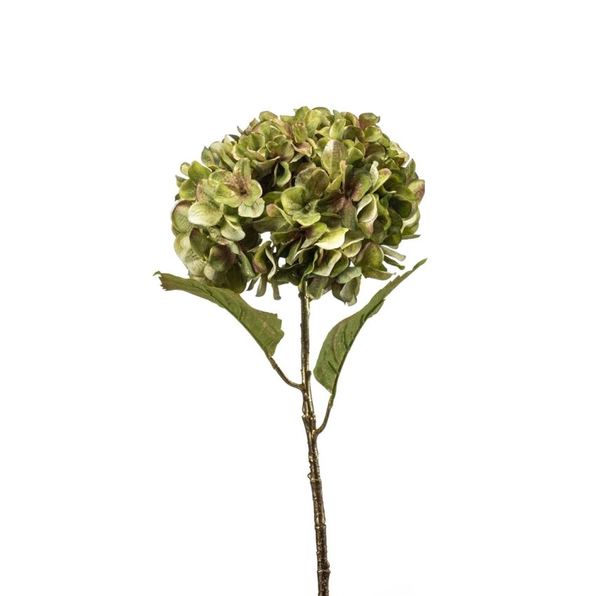 Hydrangea spray green/gold 55cm