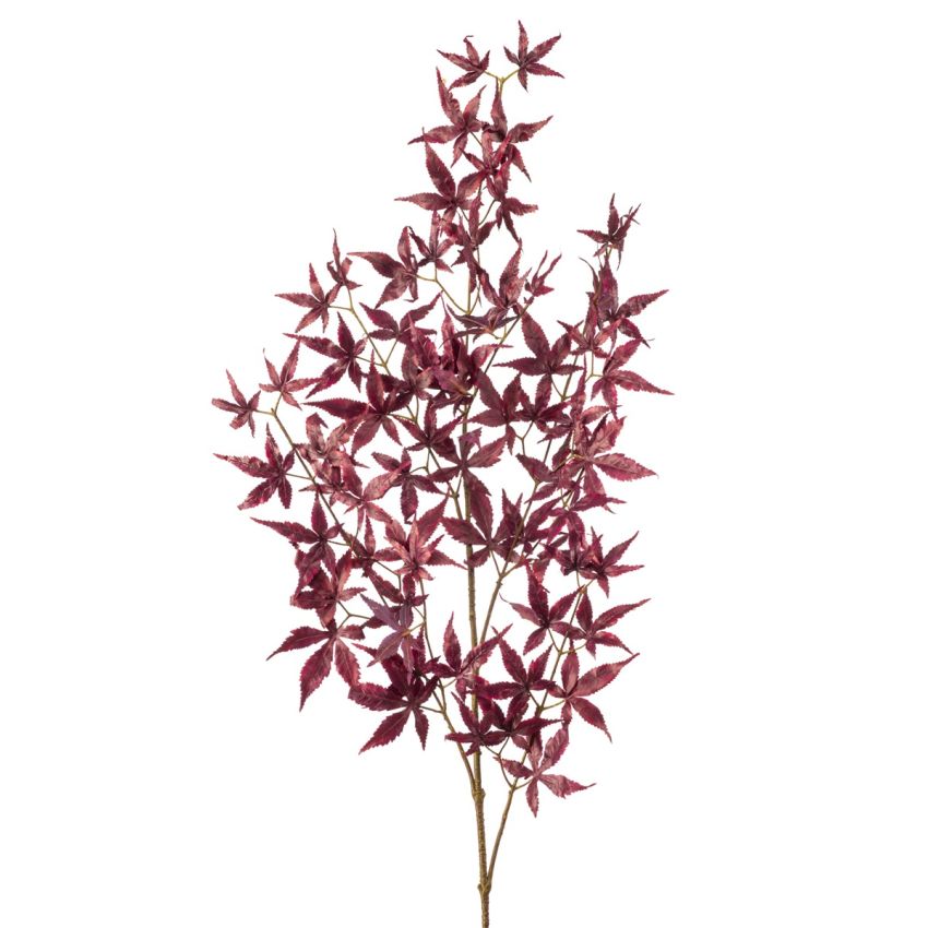 Japanese maple spray burgundy 110cm