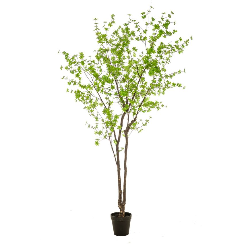 Tropaeolum plant green 300cm (knock down packing)
