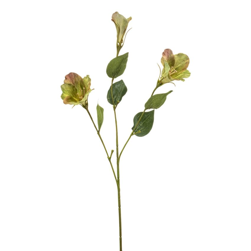 Eustoma spray green 70cm