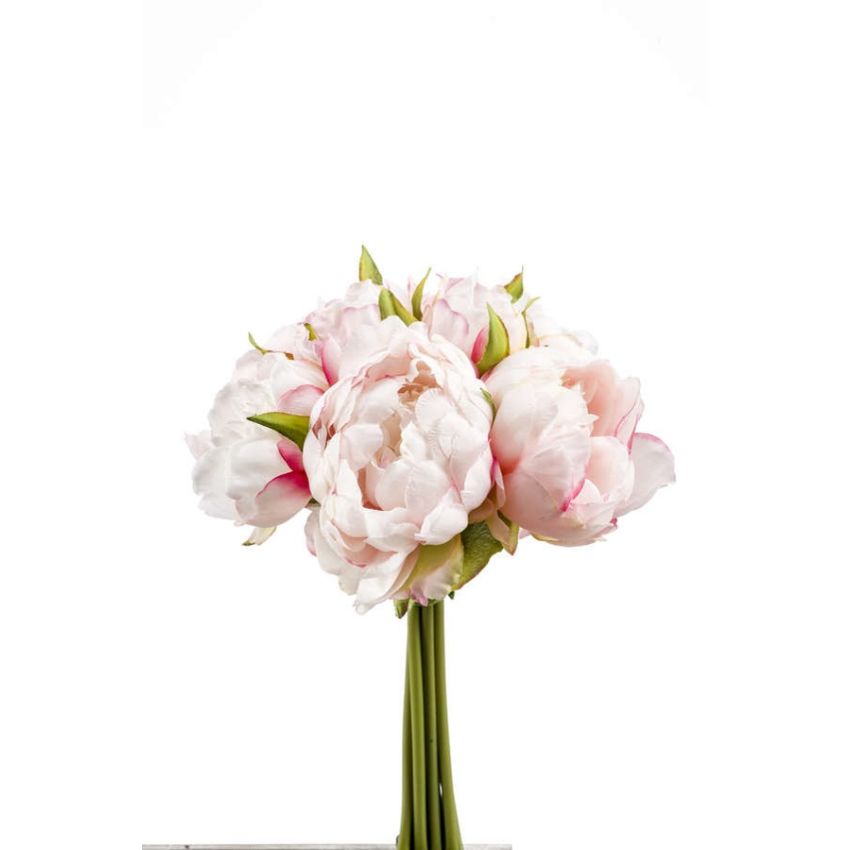 Peony bundle lt pink 24cm