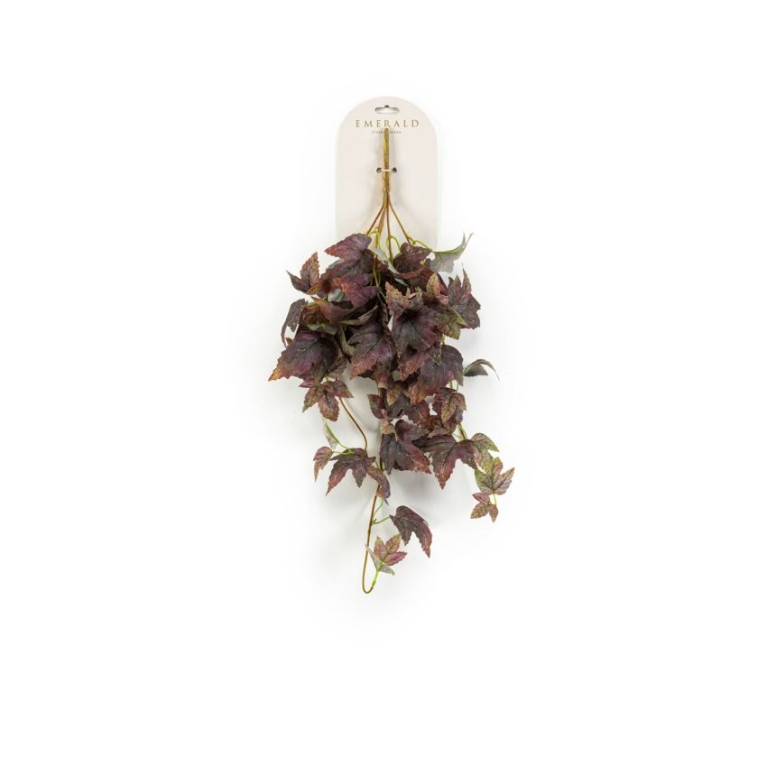 Grape hanging bush purple 65cm