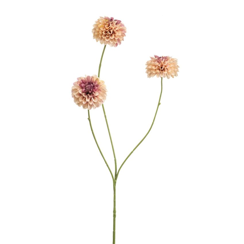Dahlia pompon mini spray x3 peach 68cm