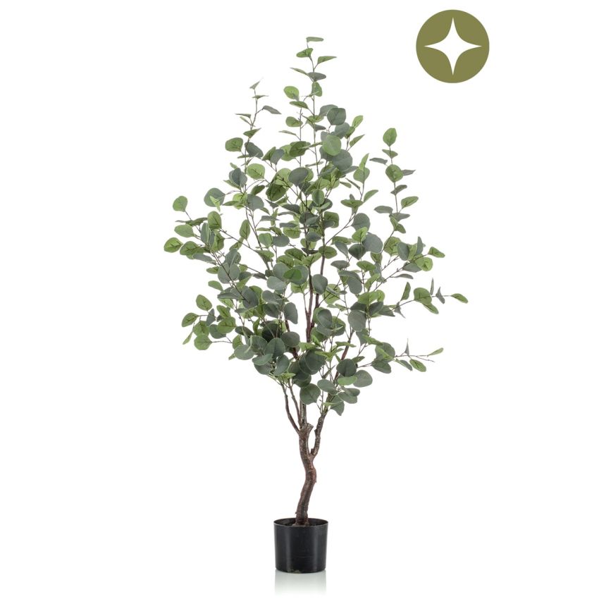Eucalyptus tree 120cm (single packed)