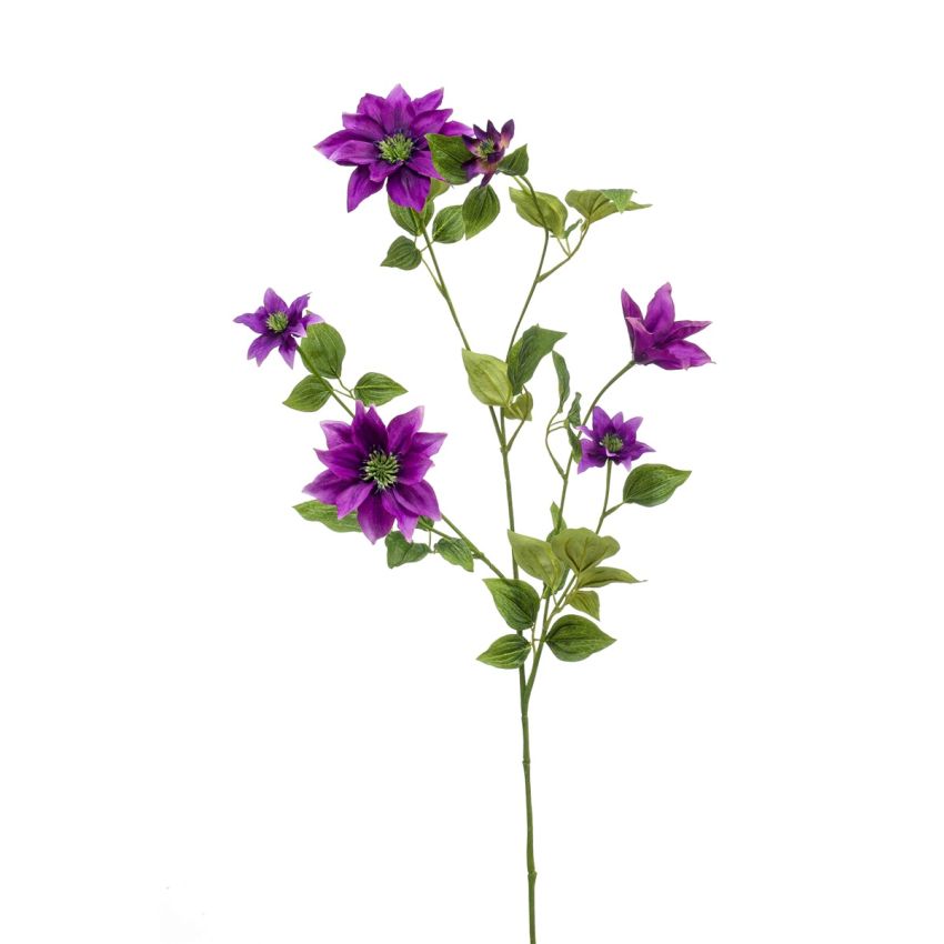 Clematis spray purple 110cm