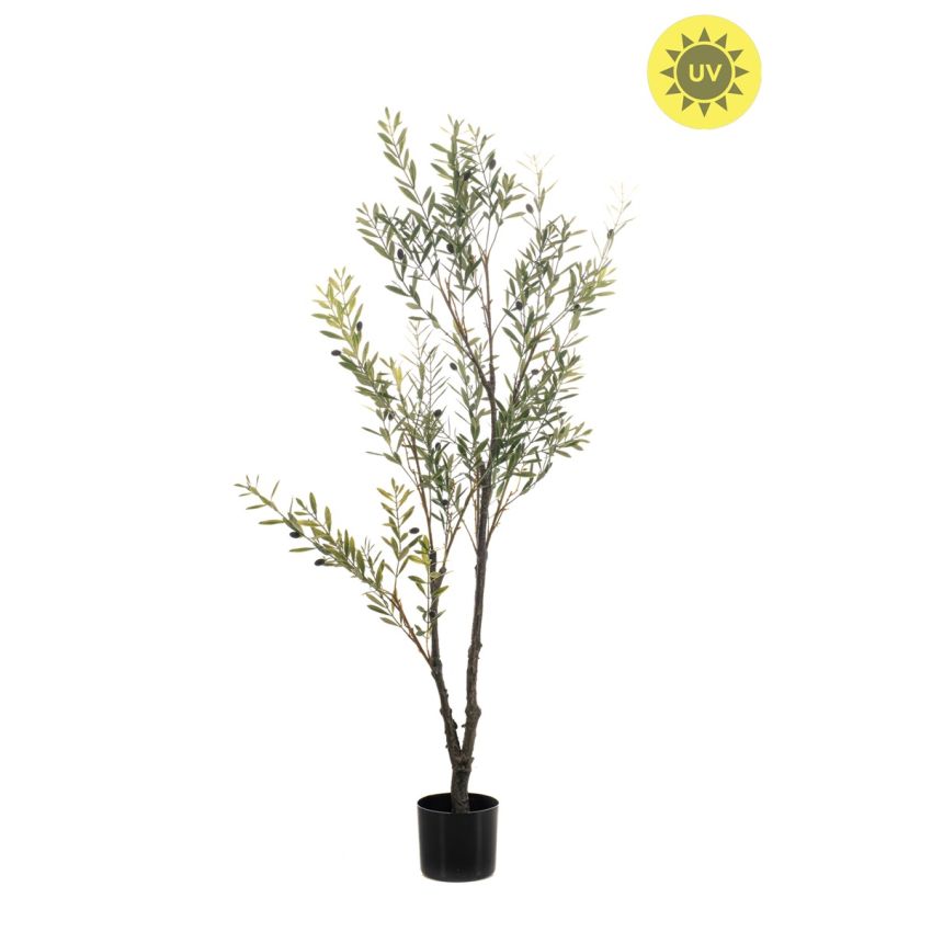 Olive tree UV 140cm