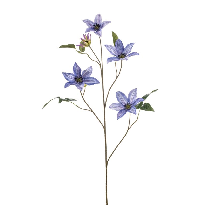 Clematis spray blue 102cm