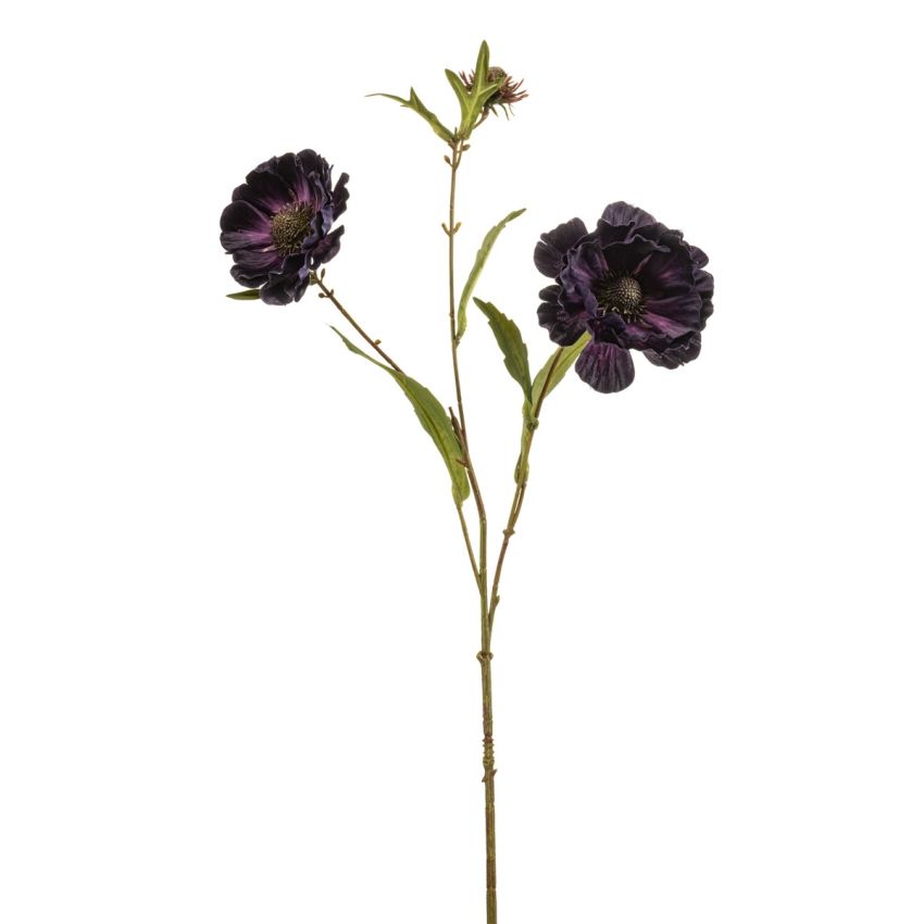 Aster spray purple 76cm