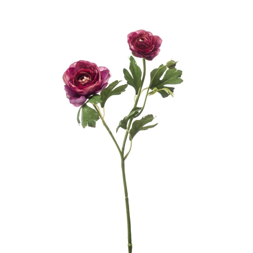 Ranunculus spray purple 46cm