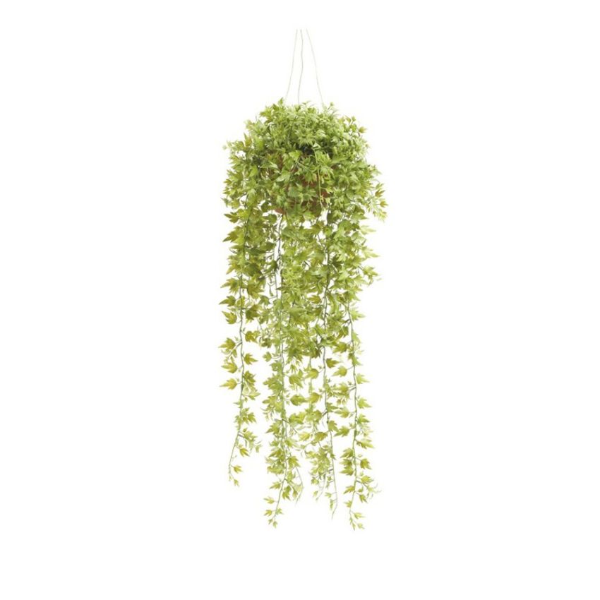 Ivy hanging green in pot 80cm