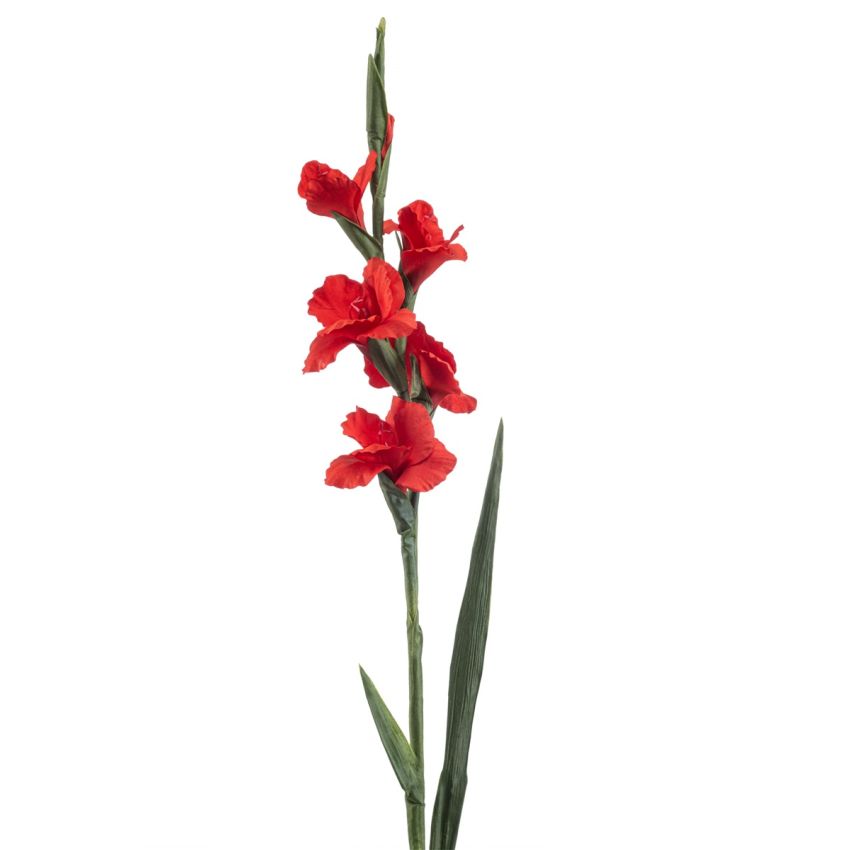 Gladiolus spray red 92cm