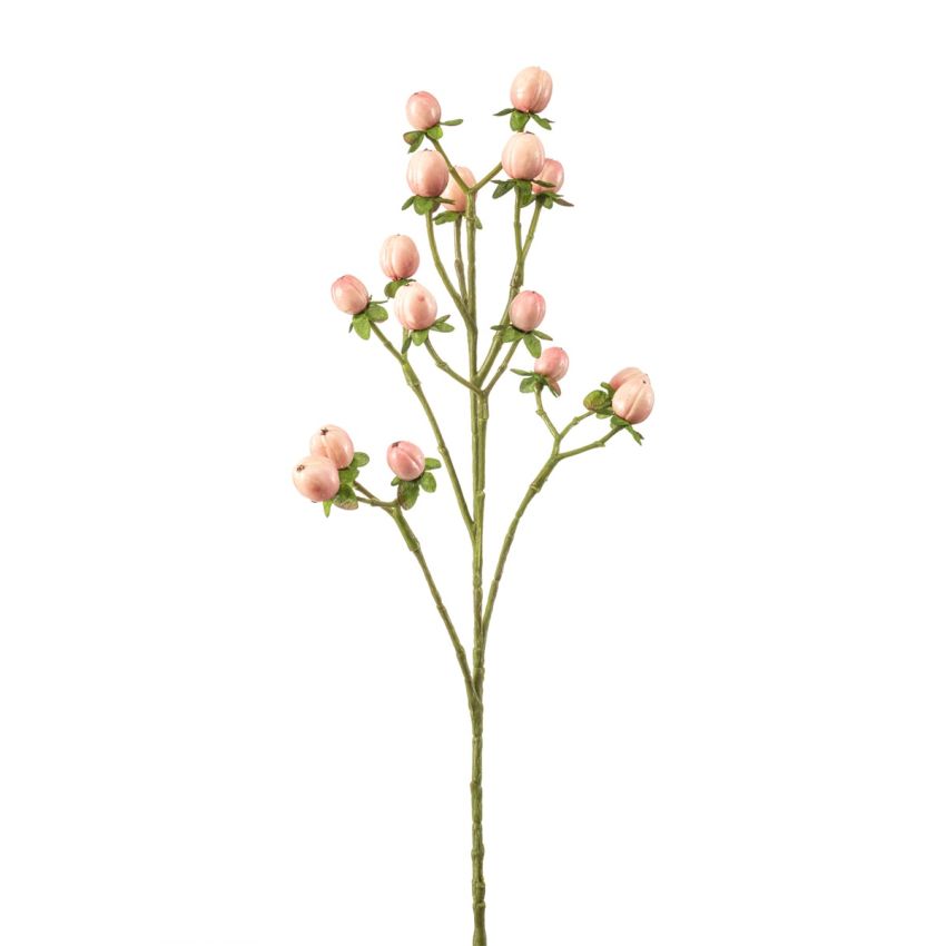 Hypericum spray pink 60cm
