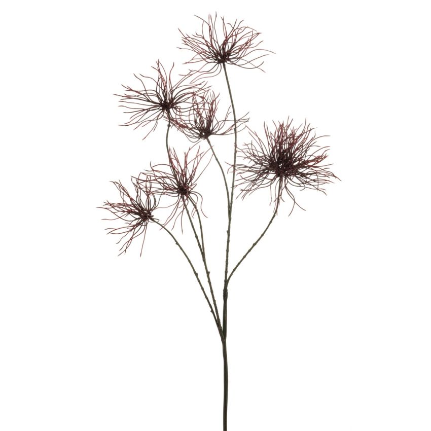 Anemone seed spray burgundy 110cm